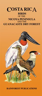 cover of the fold-out pocket field guide for Birds of the Pacific Dry Forest in Costa Rica, from Rainforest Publications