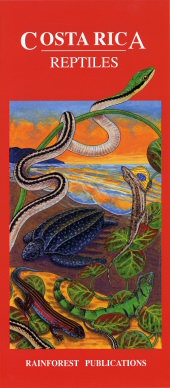 front cover of Costa Rica Reptiles Pocket Field Guide