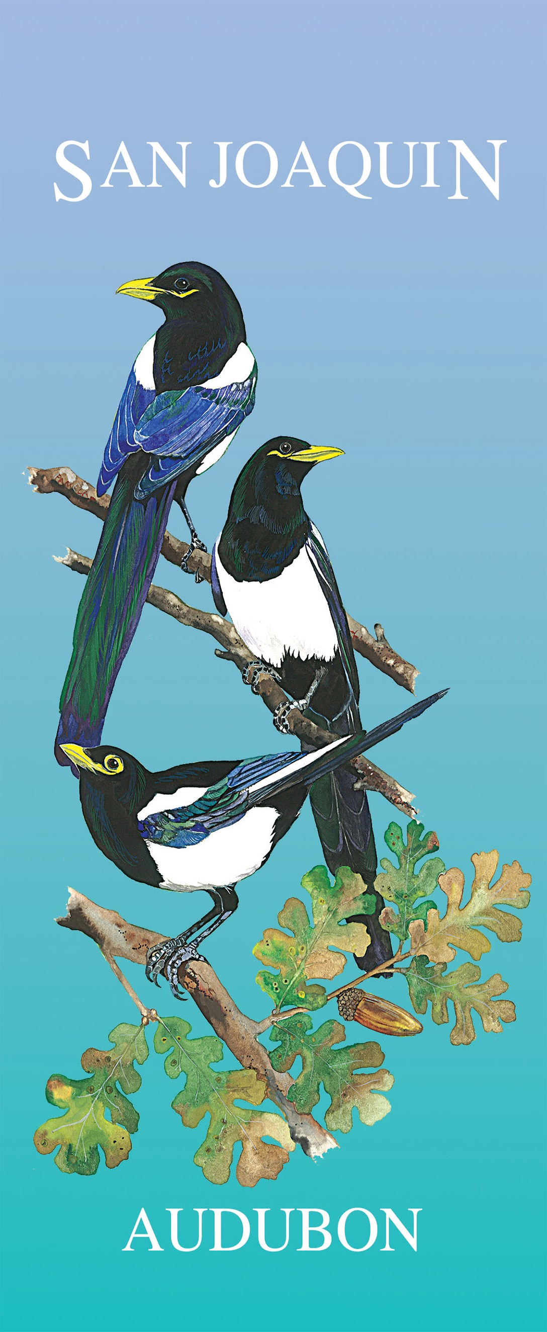 cover of custom wildlife guide for San Joaquin - Audubon