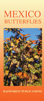 pocket field guide to Mexico butterflies