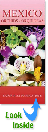pocket field guide to Orchids in Mexico