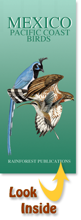 pocket field guide to birds along Mexico's Pacific Coast including Baja California
